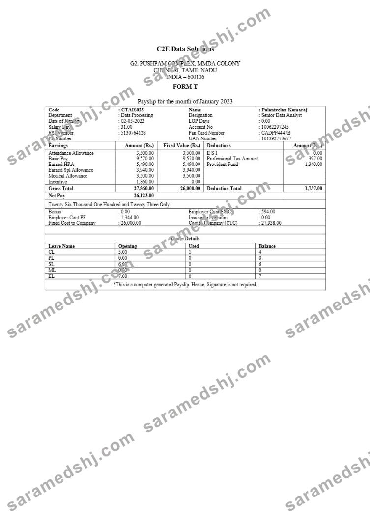 C2E Data Solutions payslip template in Word and PDF formats.pdf, 1